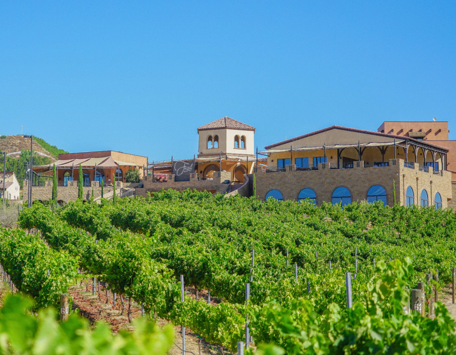 vineyards